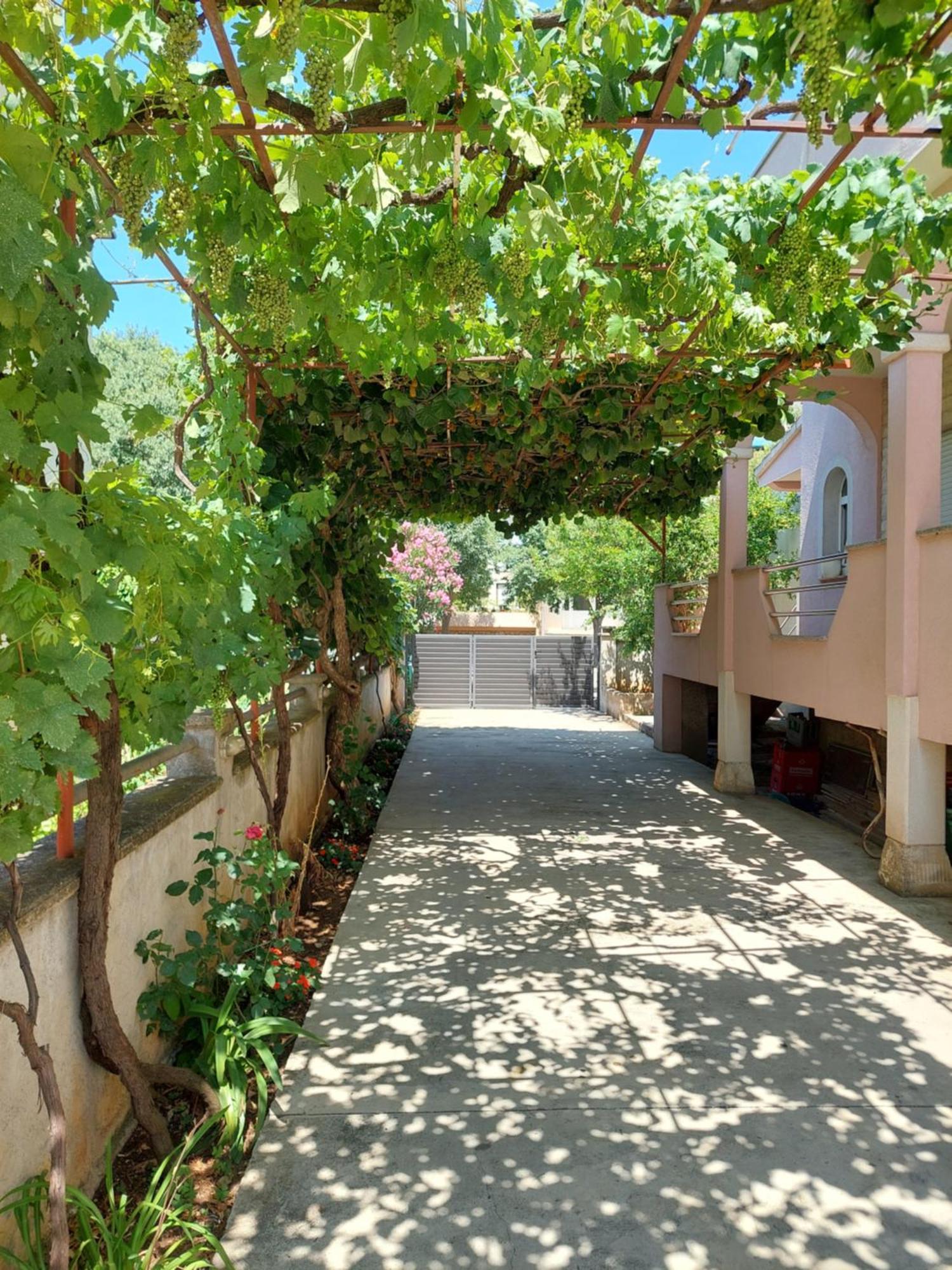 Viki Lägenhet Zadar