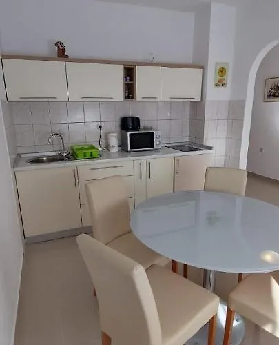 Apartment Viki