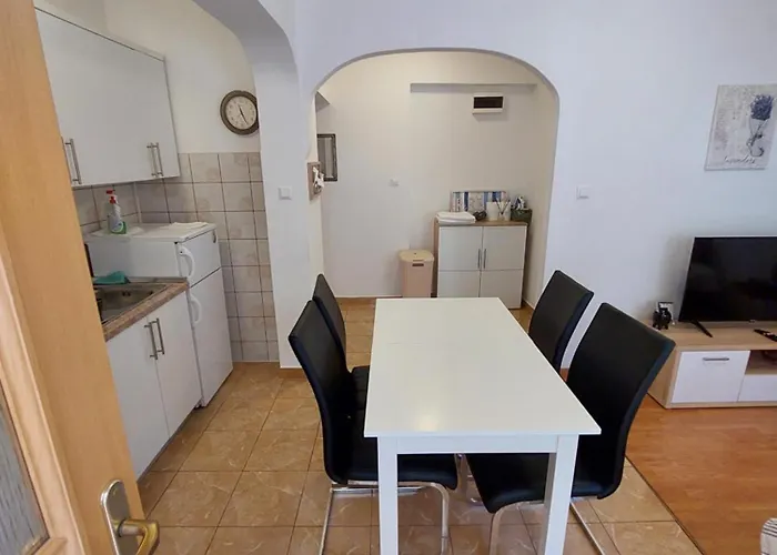 Apartment Viki