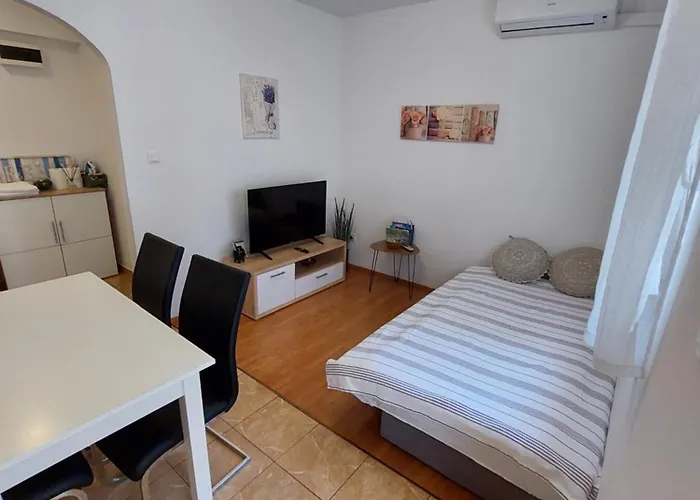 Apartment Viki